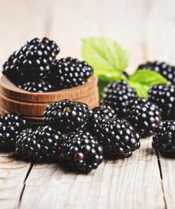 BLACKBERRY SAGE
